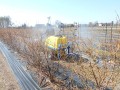 Opryskiwacz do ciągników jednoosiowych - plantacja borówki amerykańskiej.
