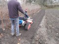 Glebogryzarka separacyjna Muratori MWX z ciągnikiem BCS 770HY PowerSafe na gąsienicach.