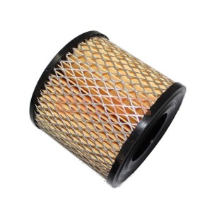 Filtr powietrza BRIGGS & STRATTON