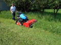 DSCN3531.jpg